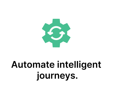 Salesforce marketing AI Implementation service