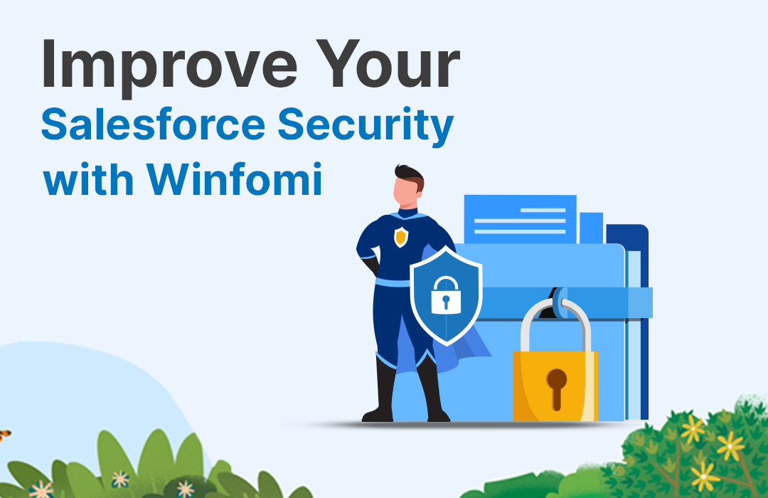 Salesforce Authentication and access control| Winfomi