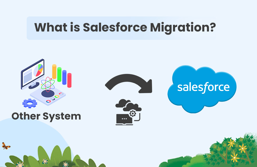 What is Salesforce Migration